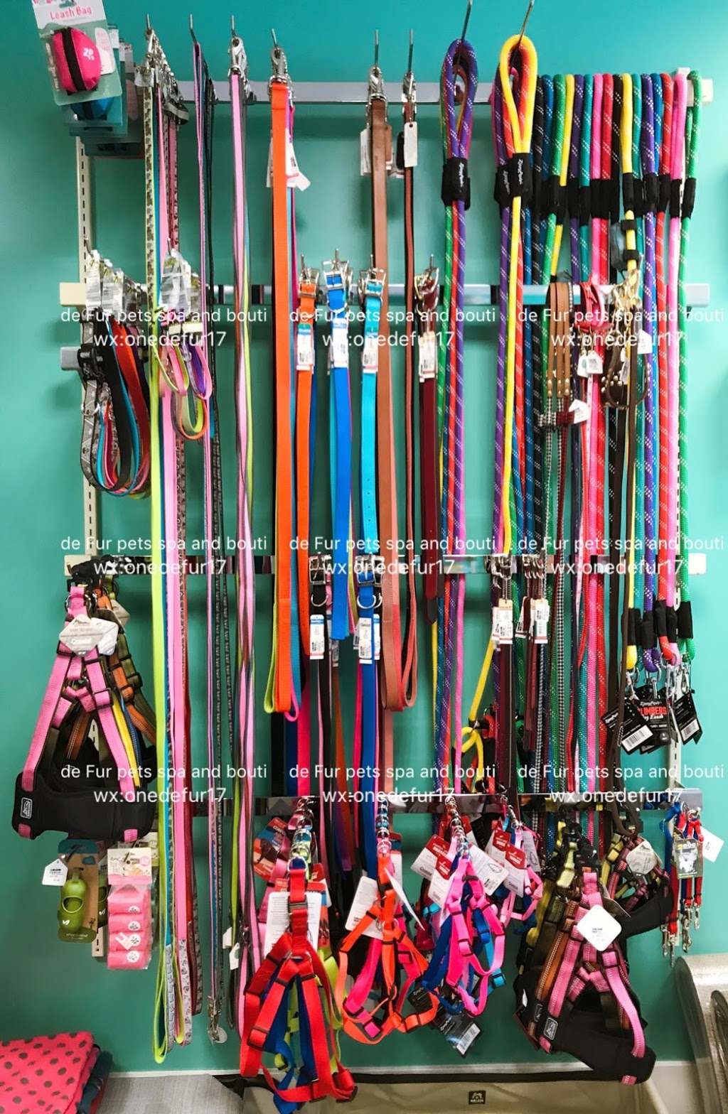 One de Fur pets spa and boutique | 4550 Hastings St, Burnaby, BC V5C 0E9, Canada | Phone: (604) 299-8200