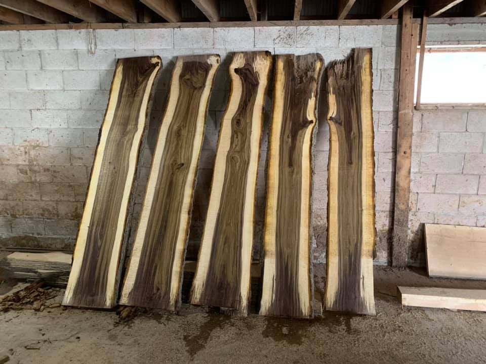Great Lakes Tree Experts (3) | 5782 ON-9, Kincardine, ON N2Z 2X5, Canada | Phone: (226) 668-4961
