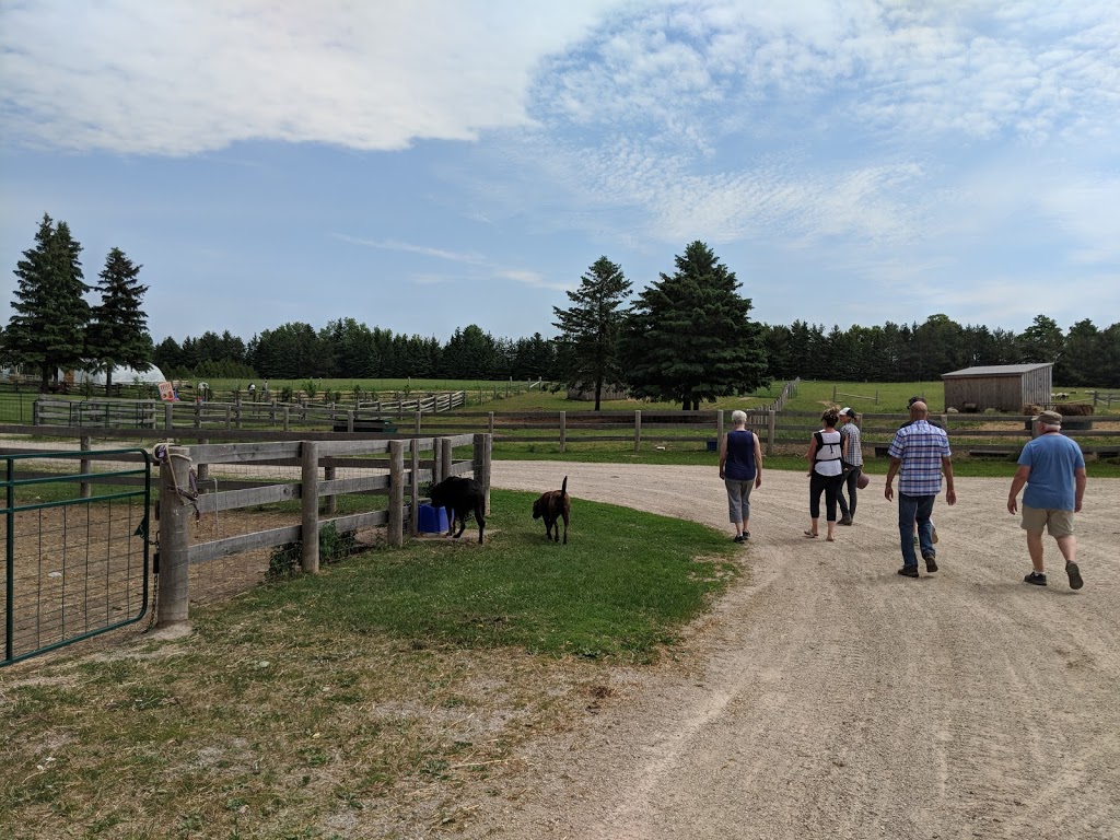 Rockcliffe Farm - Naturally Raised Meat & Produce | 388114 Mono Centre Rd, Mono, ON L9W 6V8, Canada | Phone: (905) 505-6650