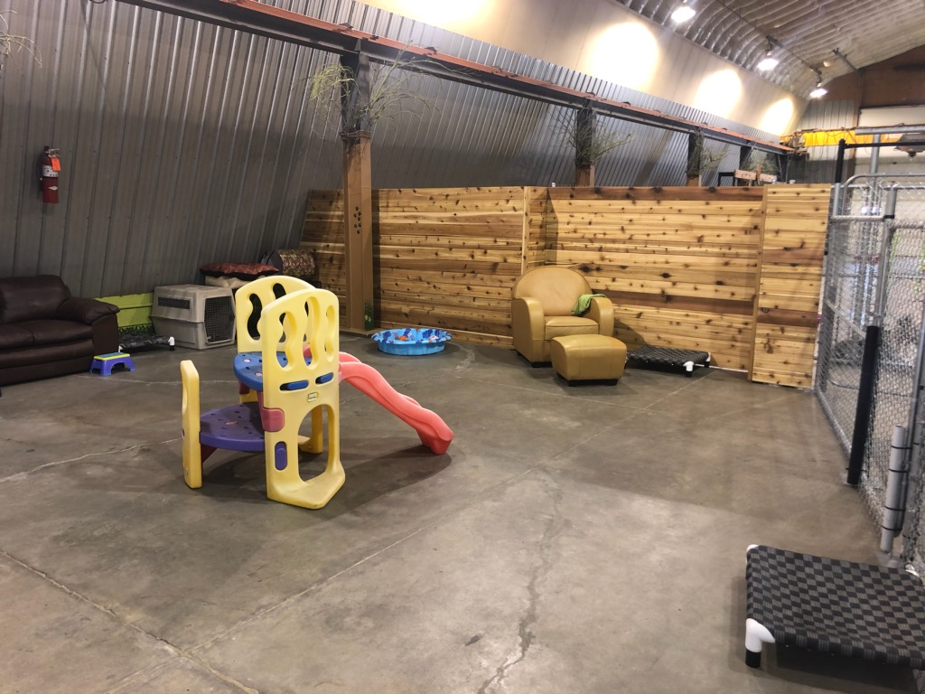 Steel House Doggy Daycare | 24 Kuryluk Blvd, Alberta T8T 0W2, Canada | Phone: (780) 405-2578