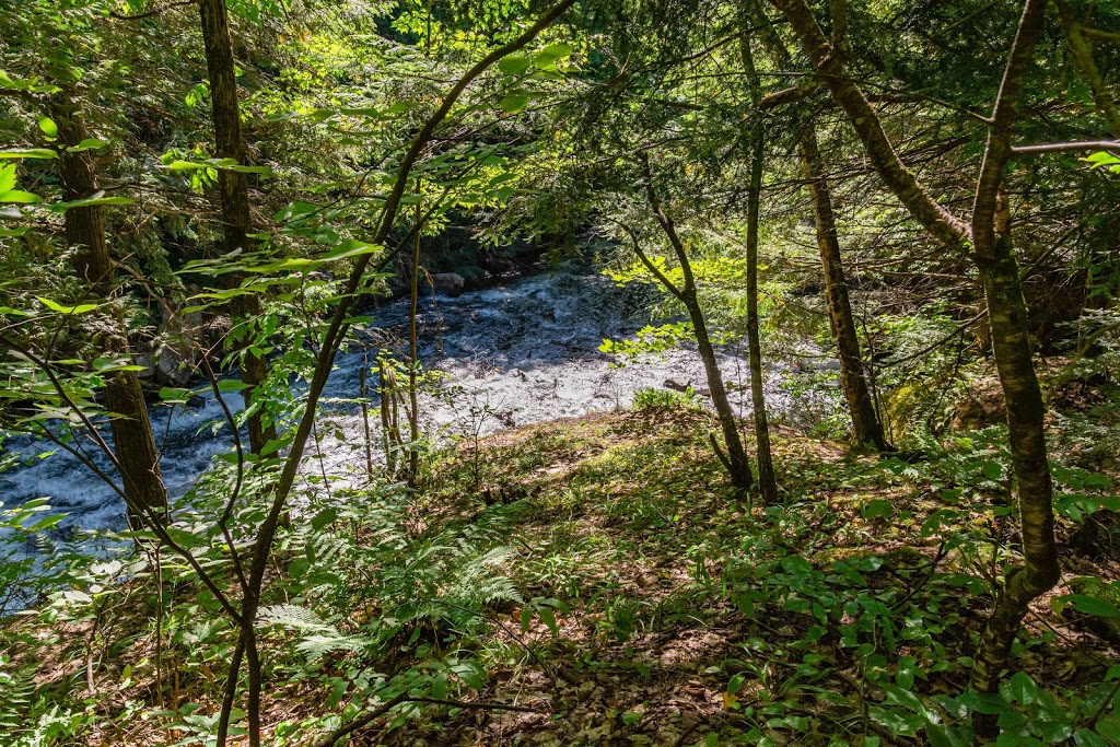 Crests Of Kennisis Trailhead | Algonquin Highlands, ON K0M 1J2, Canada | Phone: (705) 766-9033