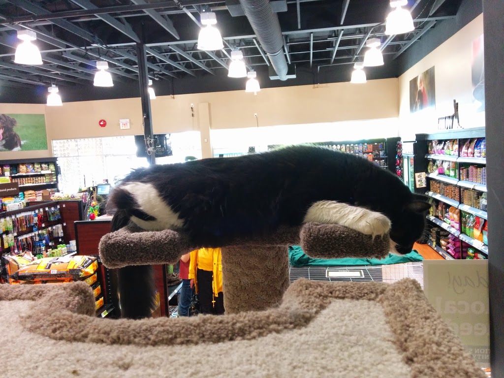 Bosleys by Pet Valu | 2362 Whatcom Road, Abbotsford, BC V3G 2L5, Canada | Phone: (604) 859-9056