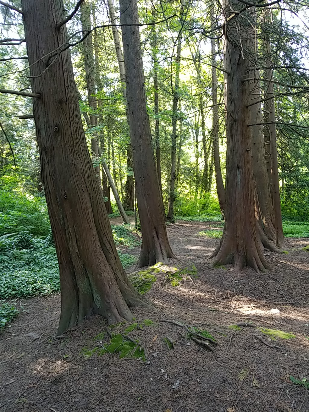 lubbocks woods park | 7803 Burris St, Burnaby, BC V5E 3M9, Canada