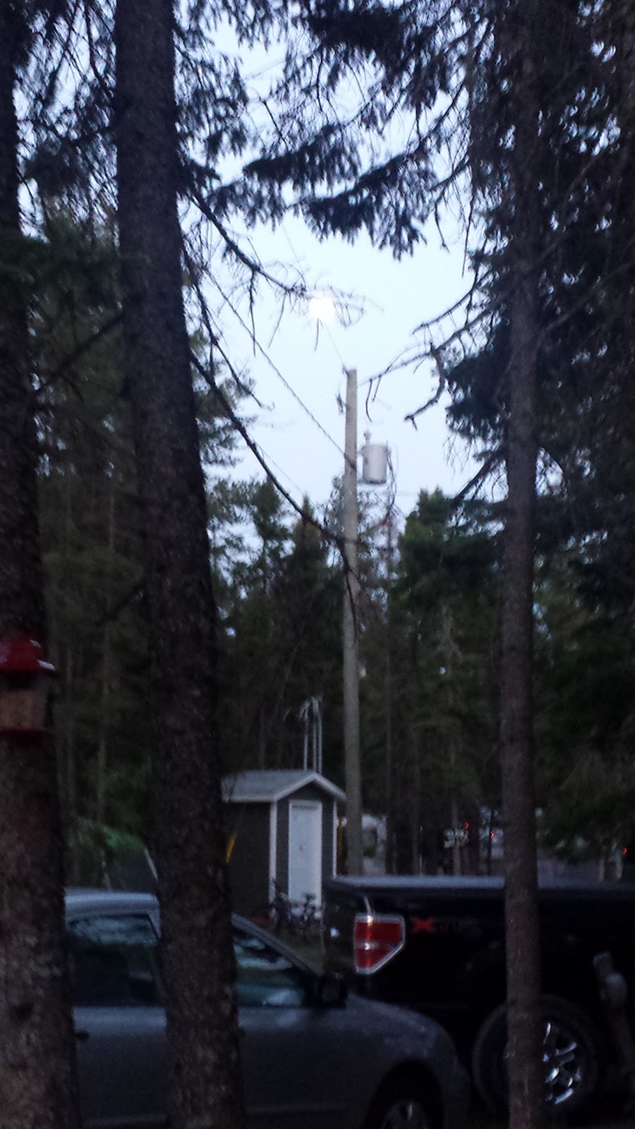 Lone Pine Park Campgrounds & Cabins | 45 Lone Pine Rd, Penobsquis, NB E4E 5T3, Canada | Phone: (506) 432-4007