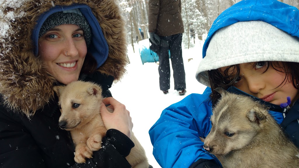 Windrift Adventures | 5753 8 Line N, Moonstone, ON L0K 1N0, Canada | Phone: (705) 325-0919