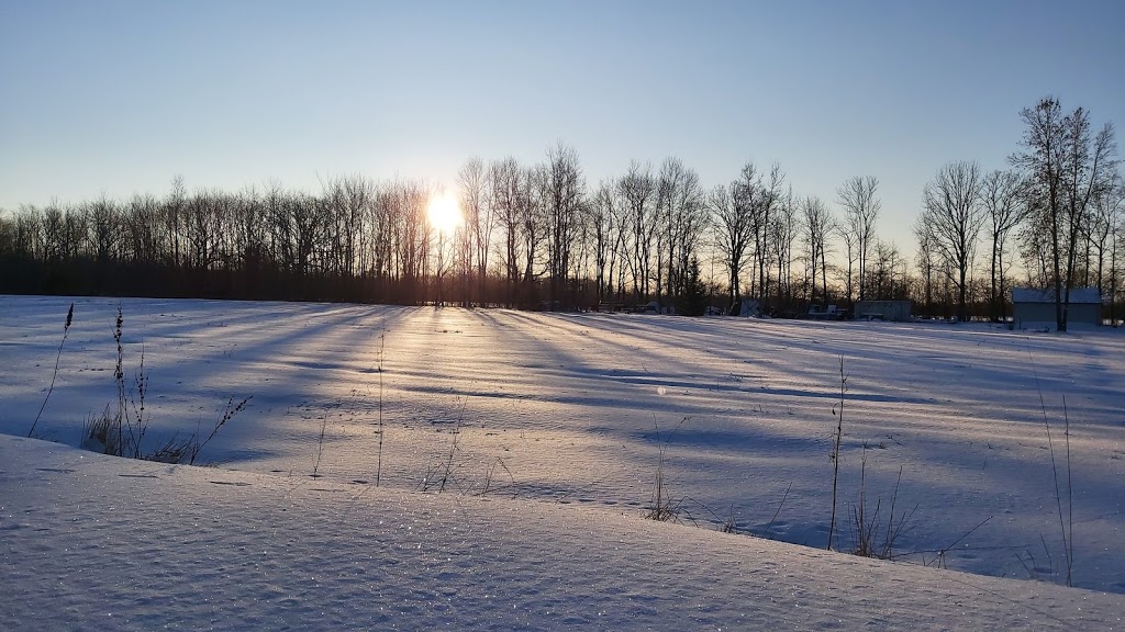 Hungarian Baptist Camp | 6389 Rama Rd, Orillia, ON L3V 6H6, Canada | Phone: (705) 326-6965