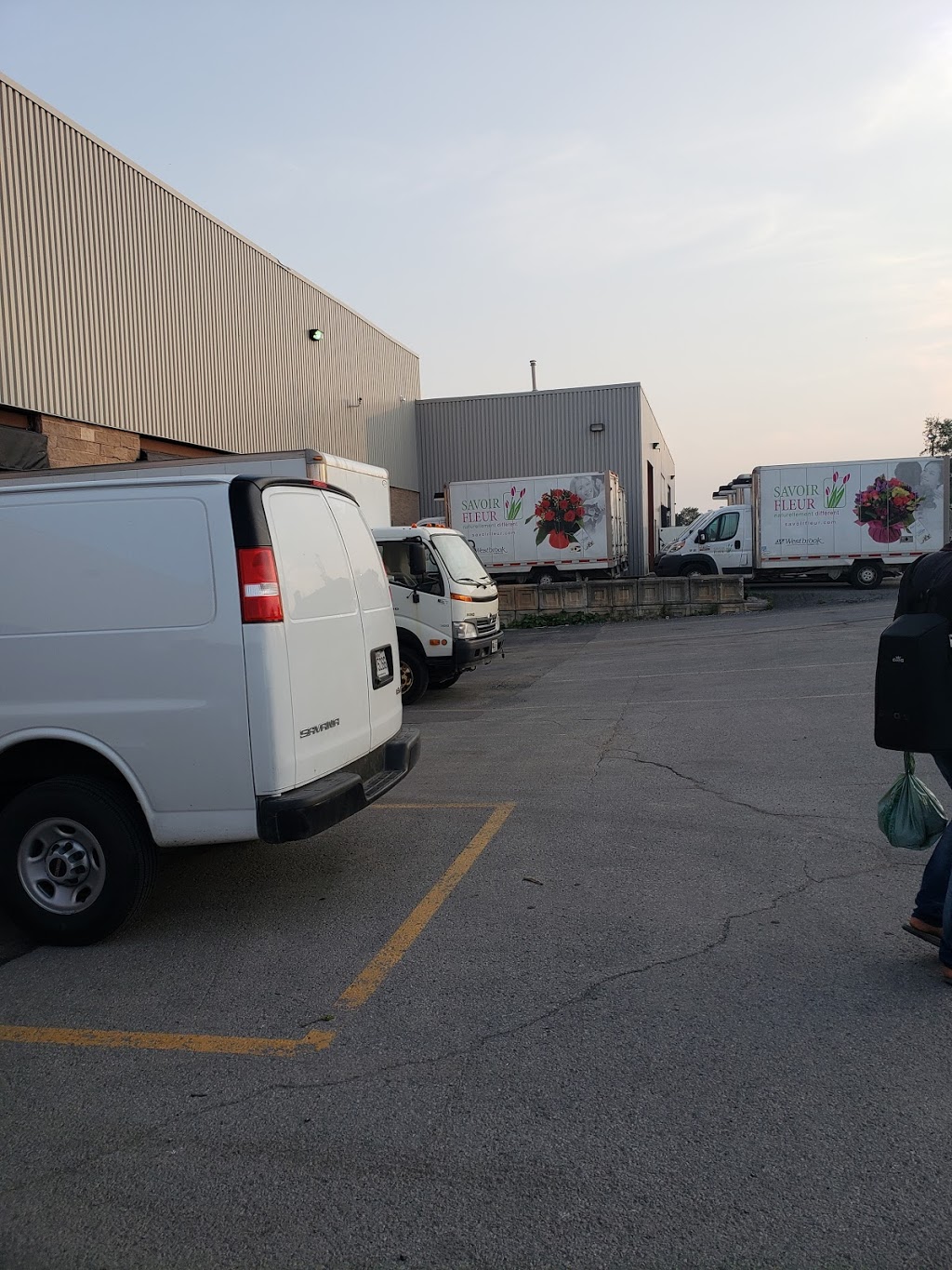 Sierra Flower Trading Inc | 935 Rue Reverchon, Saint-Laurent, QC H4T 4L2, Canada | Phone: (514) 733-3515