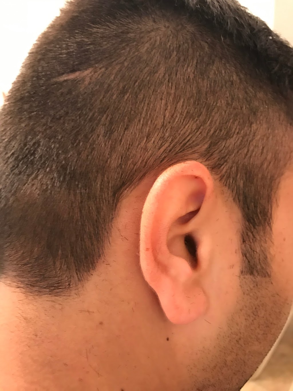 Supercuts | 4779 Transit Rd #7, Depew, NY 14043, USA | Phone: (716) 668-3446