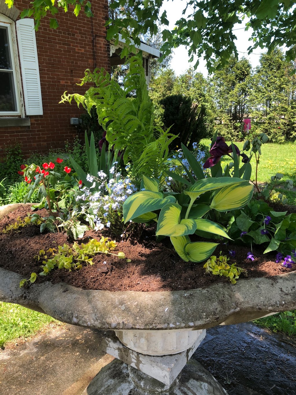 Our Fathers Farm | 1050 Ontario 5, Dundas, ON L9H 5E2, Canada | Phone: (905) 628-8195