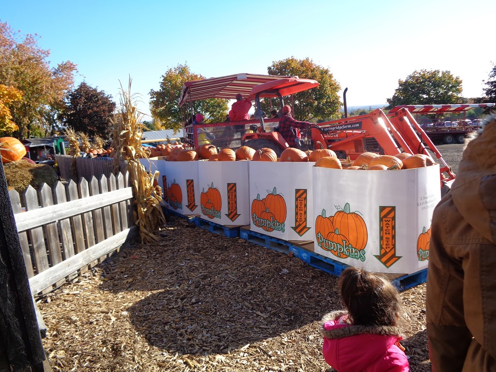 Learning Ladder Childcare Center | 2015 Kingsridge Dr #1, Oakville, ON L6M 4V7, Canada | Phone: (905) 847-9911