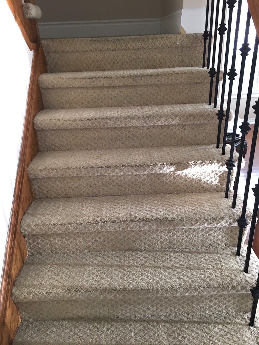 Simply Clean Carpet Cleaning | 18 Knox Ct, Kitchener, ON N2P 2V6, Canada | Phone: (519) 897-6366