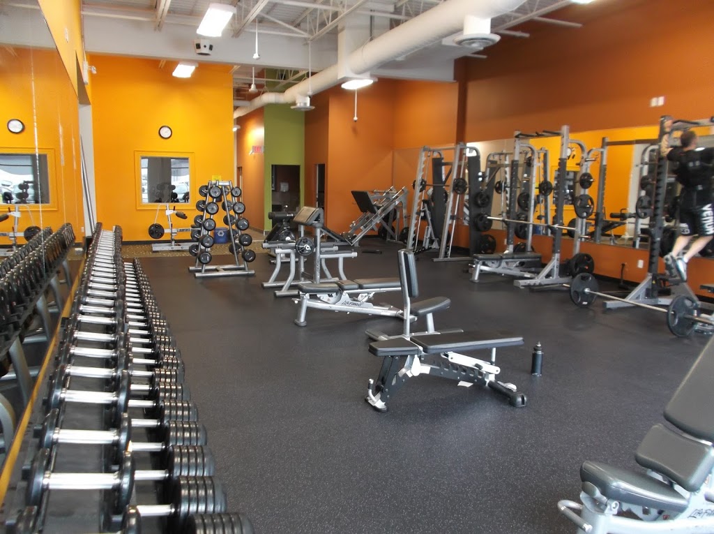 Anytime Fitness | 224 Centennial Rd, Orangeville, ON L9W 5K2, Canada | Phone: (519) 940-4848