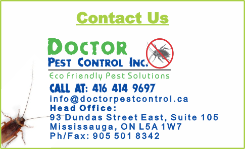 Pest No More Inc. | 760 Sombrero Way, Mississauga, ON L5W 1S8, Canada | Phone: (647) 920-9697