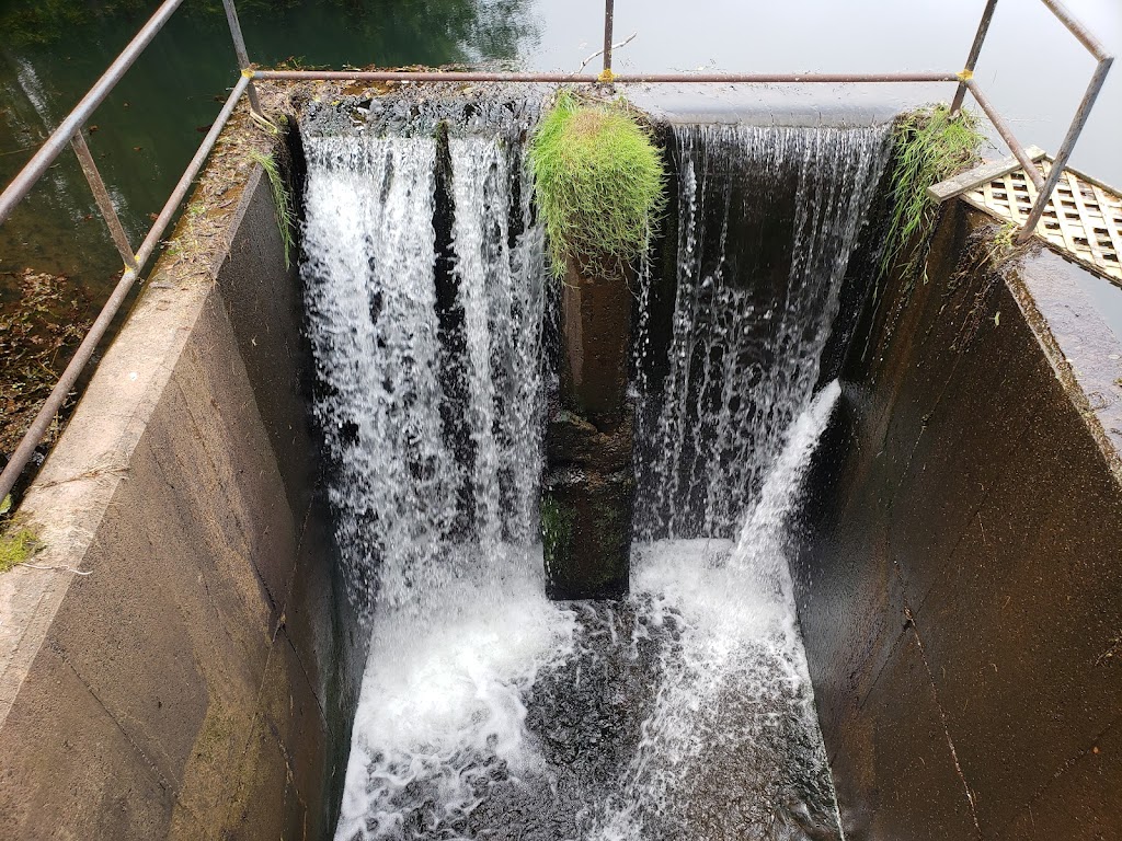 Knoxs Dam | Route 320,, Victoria Cross, PE C0A 1R0, Canada | Phone: (866) 245-0037