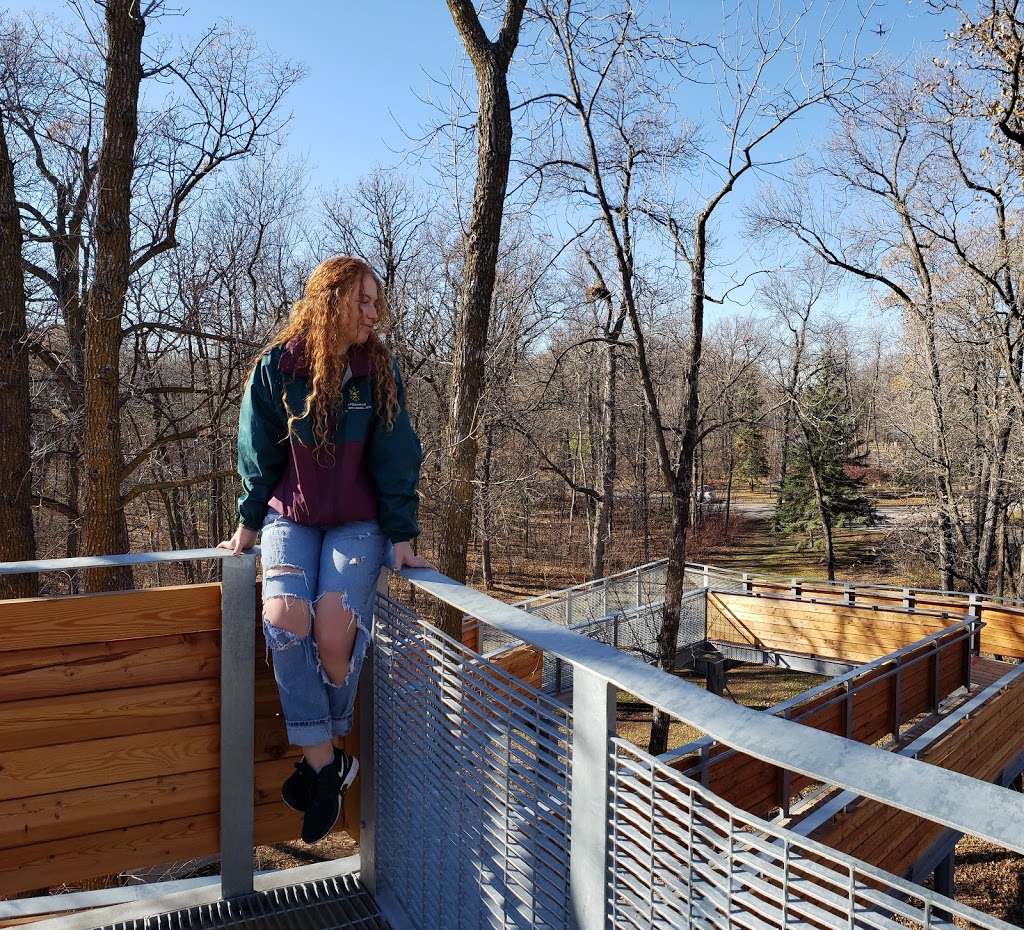Toboggan Slide | 190 River Rd, Winnipeg, MB R2M 5C4, Canada | Phone: (204) 986-6006