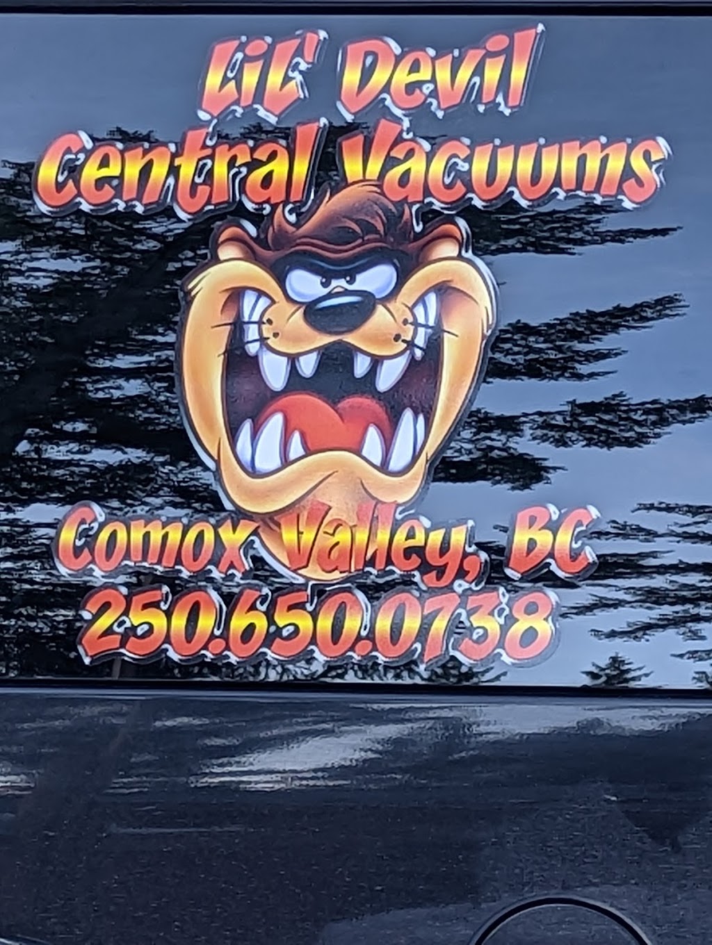 Lil Devil Central Vacuums | 7079 Sprout Rd, Courtenay, BC V9J 1N3, Canada | Phone: (250) 650-0738