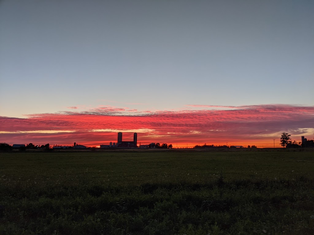 Blackview Farm | 8590 Concession Rd 3, Listowel, ON N4W 3G8, Canada | Phone: (519) 781-4269