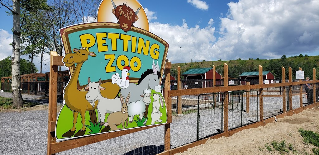 The Big Apple Petting Zoo | 262 Orchard Rd, Colborne, ON K0K 1S0, Canada | Phone: (905) 355-2574