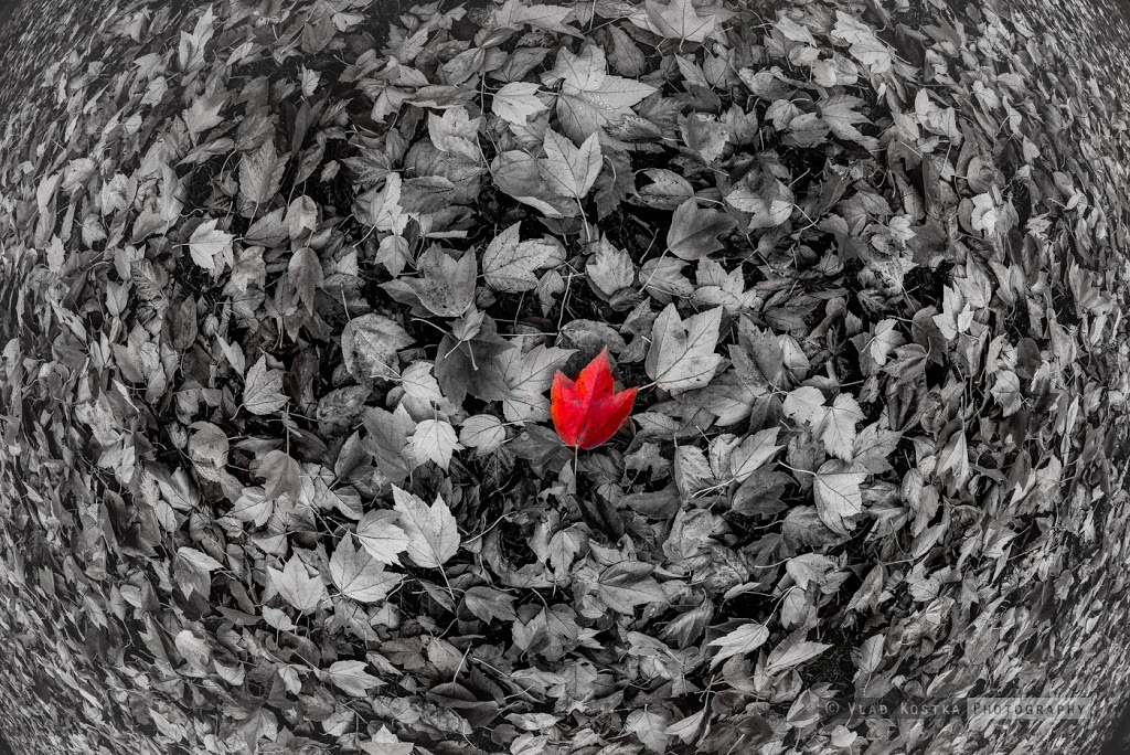 Vladimir Kostka Photography | 3306 Cornwall St, Port Coquitlam, BC V3B 3G9, Canada | Phone: (604) 710-8089