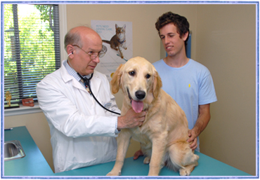 Bridletowne Warden Animal Hospital | 2261 Warden Ave, Scarborough, ON M1T 1V5, Canada | Phone: (416) 491-8706