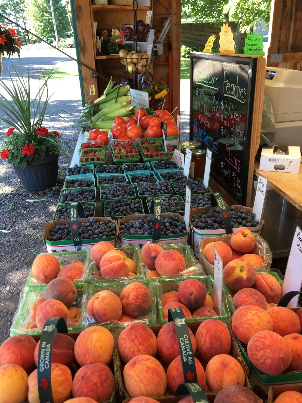 Fehrhaven Farms | 1577 ON-3, Port Colborne, ON L3K 5V3, Canada | Phone: (905) 834-6440