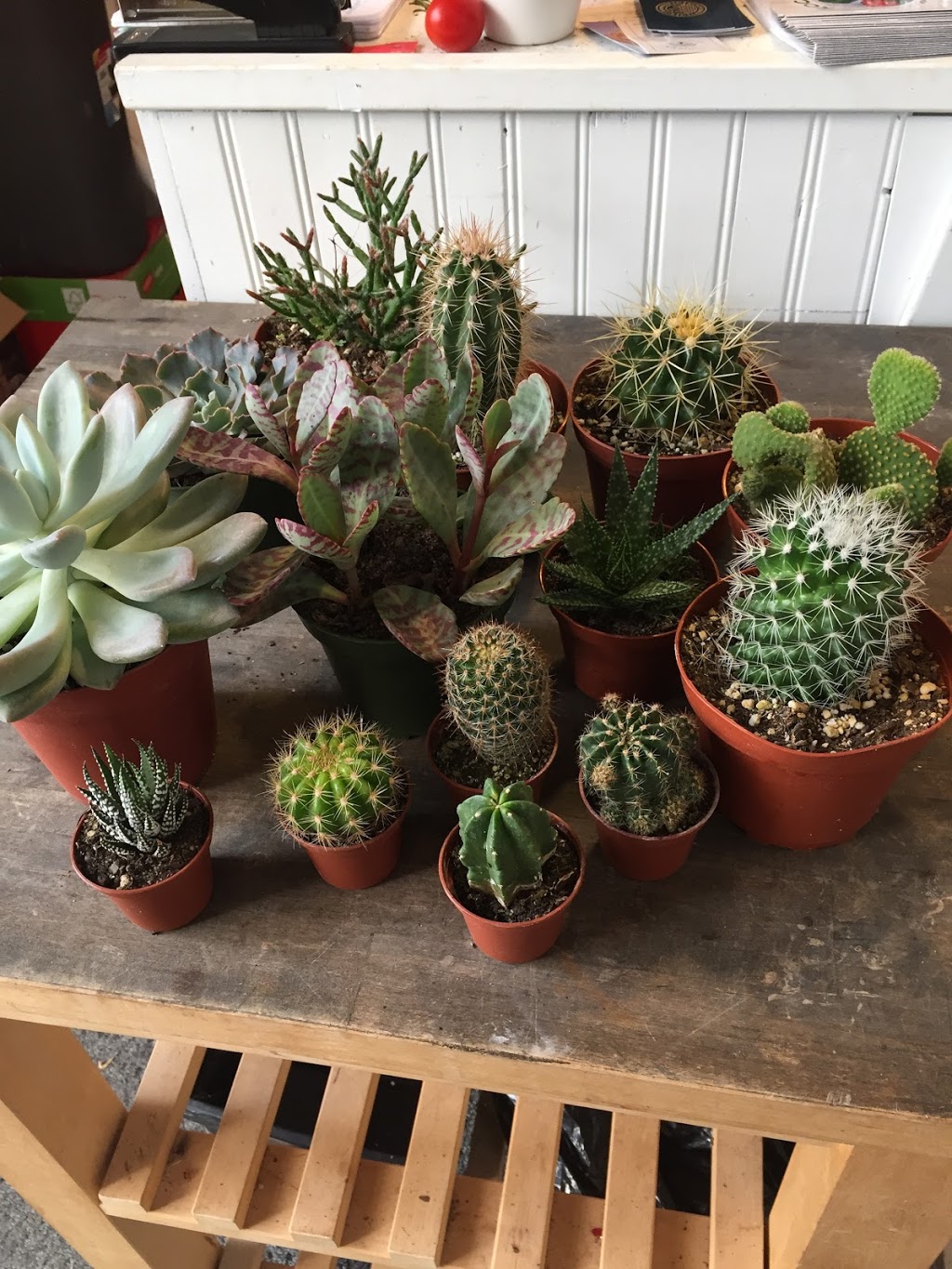 Eramosa Garden Centre | 5104 3 Line, Guelph/Eramosa, ON N0B 2K0, Canada | Phone: (519) 993-2583