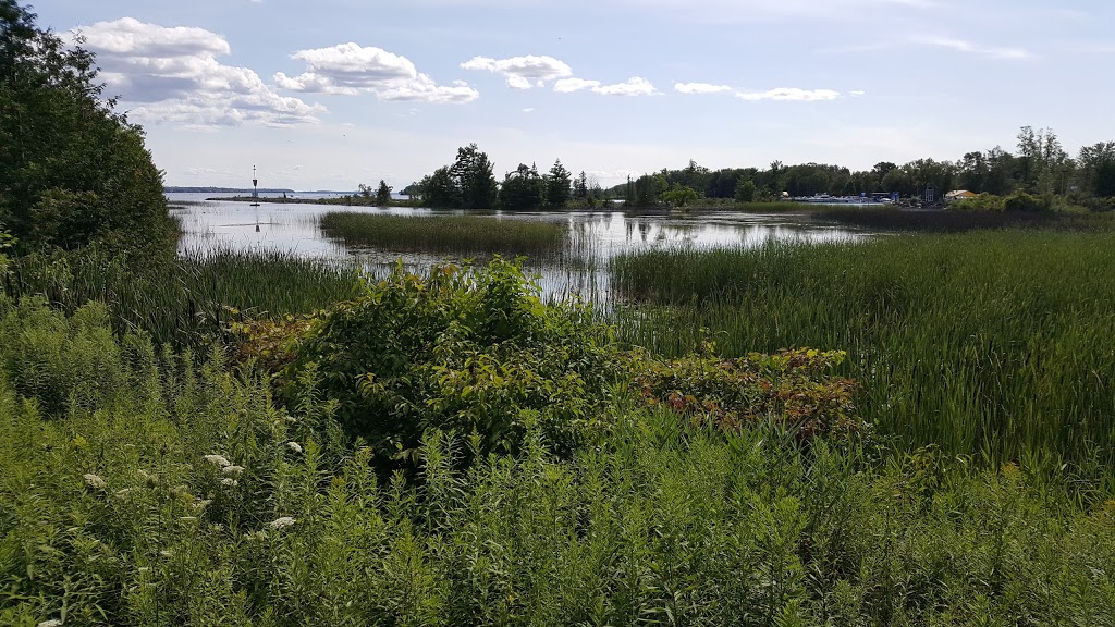Centennial Park | 3376 Quetton St, Washago, ON L0K 2B0, Canada