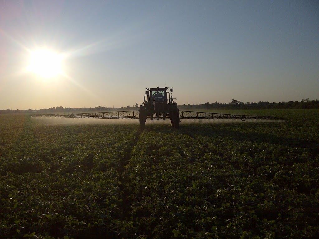 Twenty View Farms | 7224 RR 20, Smithville, ON L0R 2A0, Canada | Phone: (905) 957-4979