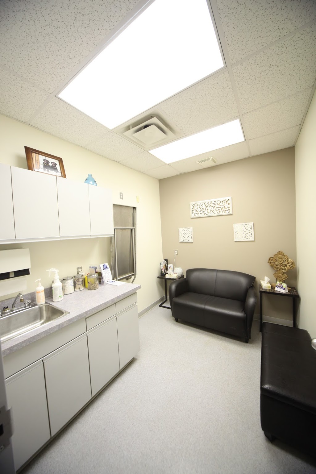 Terra Losa Animal Clinic | 17248 95 Ave NW, Edmonton, AB T5T 6P1, Canada | Phone: (780) 484-1178