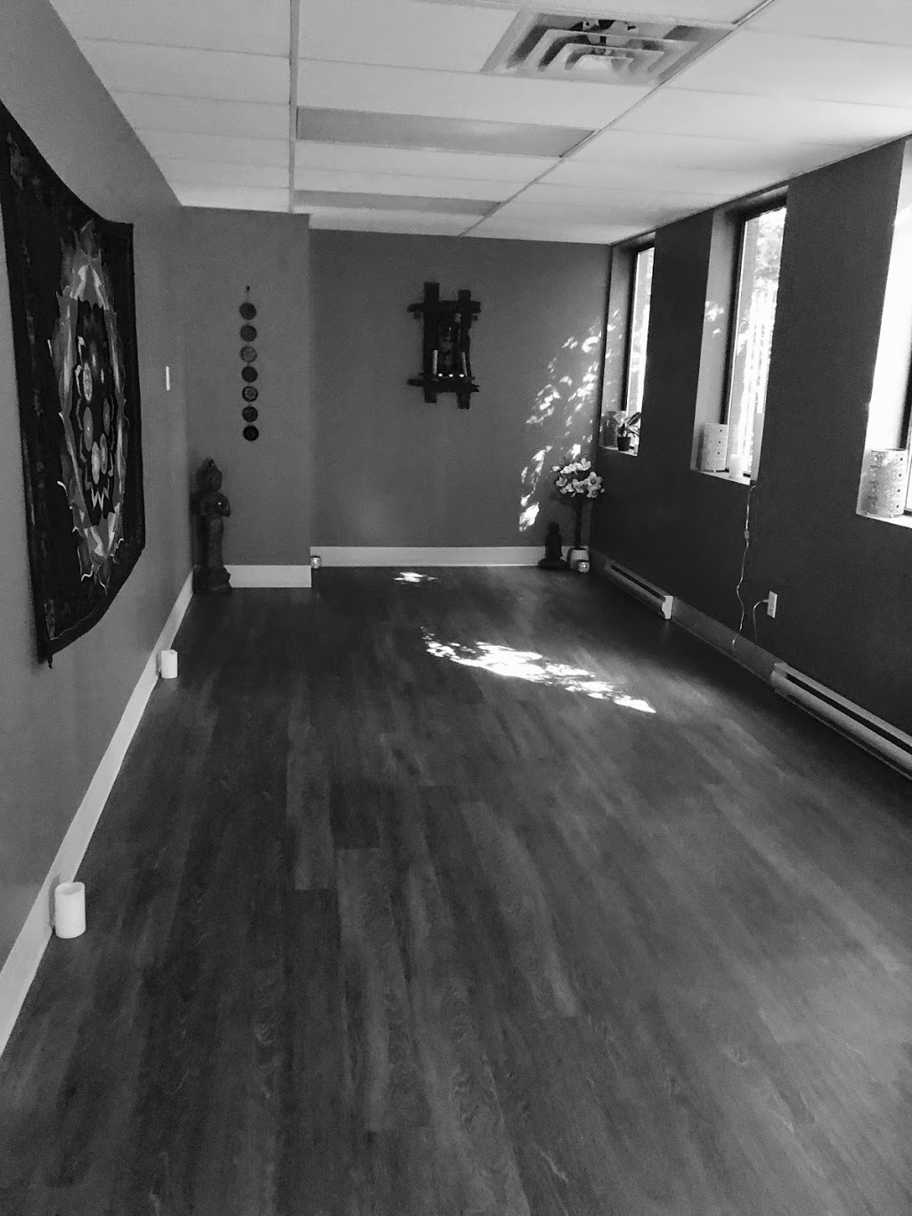Bodhi Hot Yoga | 25 Kenmount Rd, St. Johns, NL A1B 1W1, Canada | Phone: (709) 771-9642