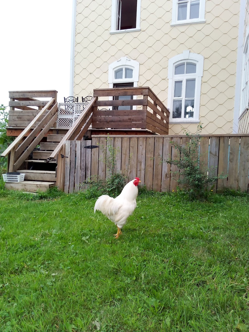 NOUAISONS, Centre agriculturel | 47 16e Rue, Scott, QC G0S 3G0, Canada | Phone: (581) 224-8377