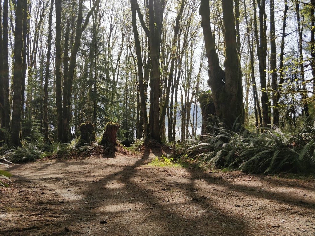 Pine Point Recreation Site | 11391-11457 N Shore Rd, Youbou, BC V0R 3E1, Canada | Phone: (250) 701-1976