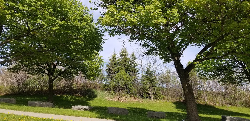 Prince Charles Park | 36 Prince Charles Dr, Toronto, ON M6A, Prince Charles Park, 36 Prince Charles Dr, Toronto, ON M6A, Canada | Phone: (416) 338-4386