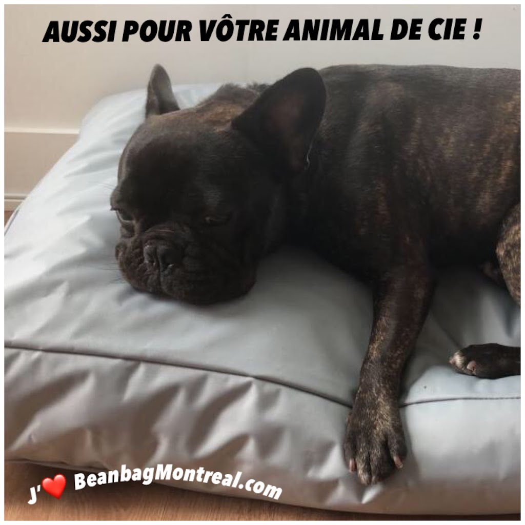 Beanbag Montreal.com | 4603 Rue DIberville, Montréal, QC H2H 2L9, Canada | Phone: (514) 527-0229