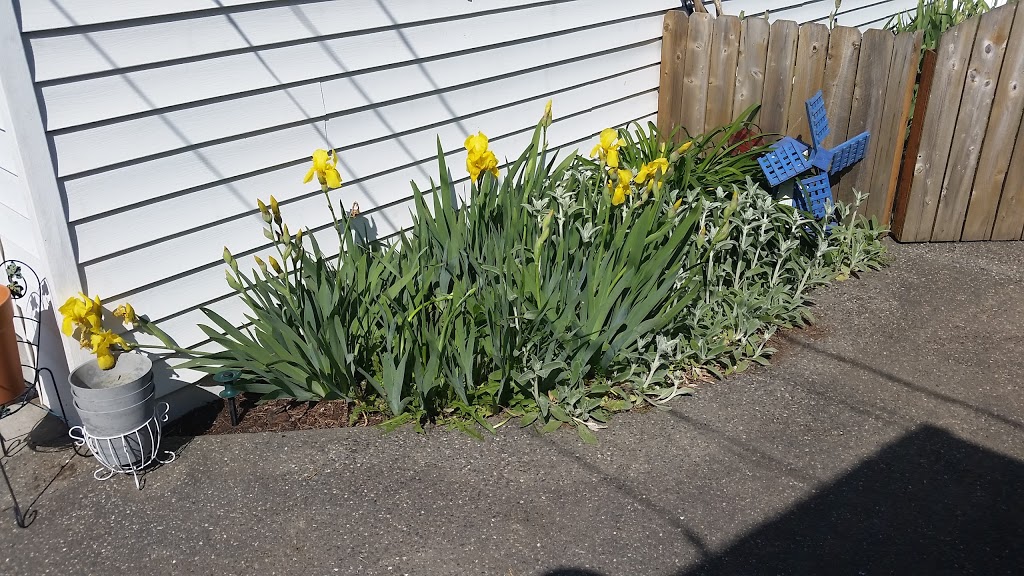 Sweet Golden Years ~ Adult Family Home | 4952 Hannegan Rd, Bellingham, WA 98226, USA | Phone: (360) 933-4728
