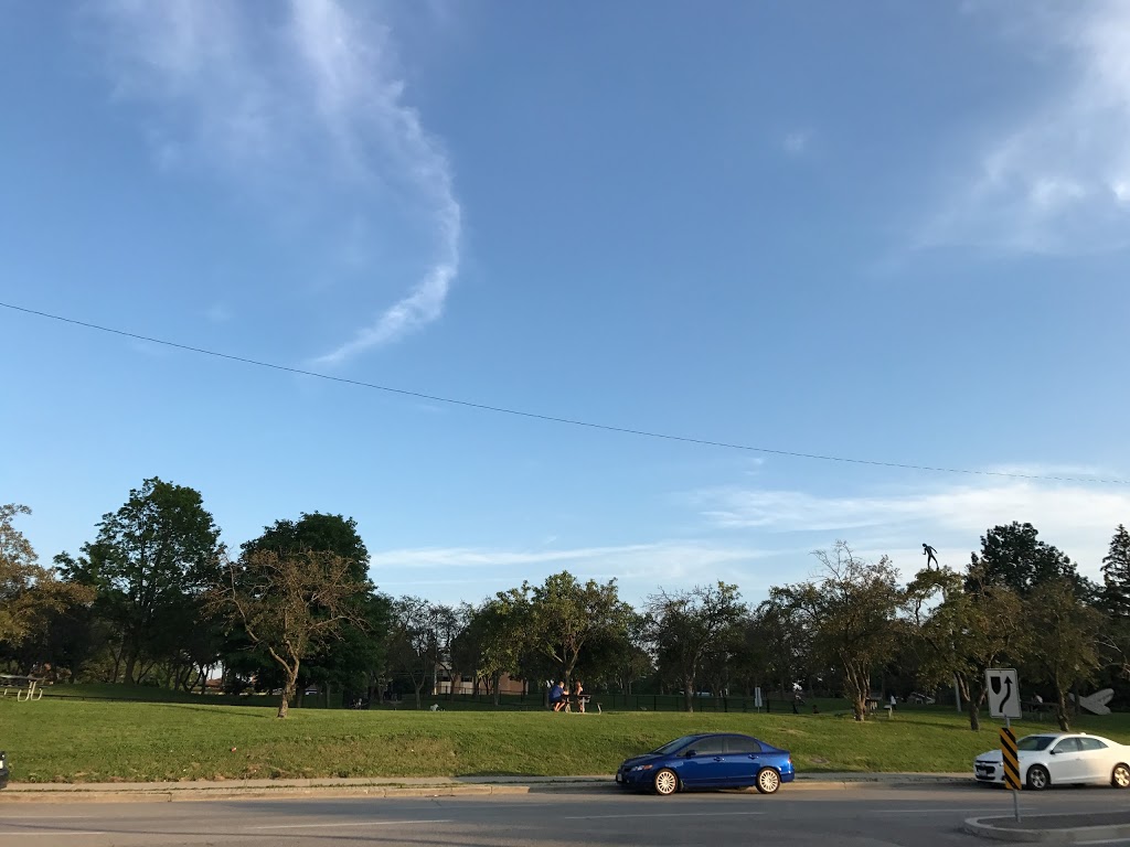 Hand of God Dog Park | 160 Borough Dr Scarborough ON M1P 4N7 Borough Dr, Scarborough, ON M1P 4N7, Canada