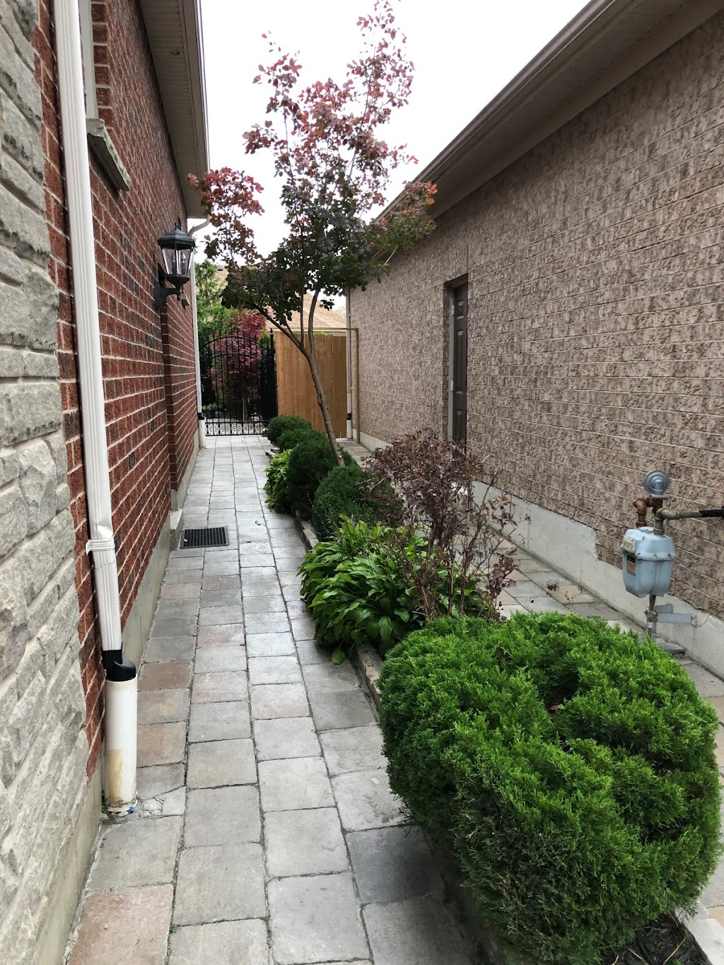 James Tree Co | 2887 Oslo Crescent, Mississauga, ON L5N 1Z8, Canada | Phone: (647) 269-4230