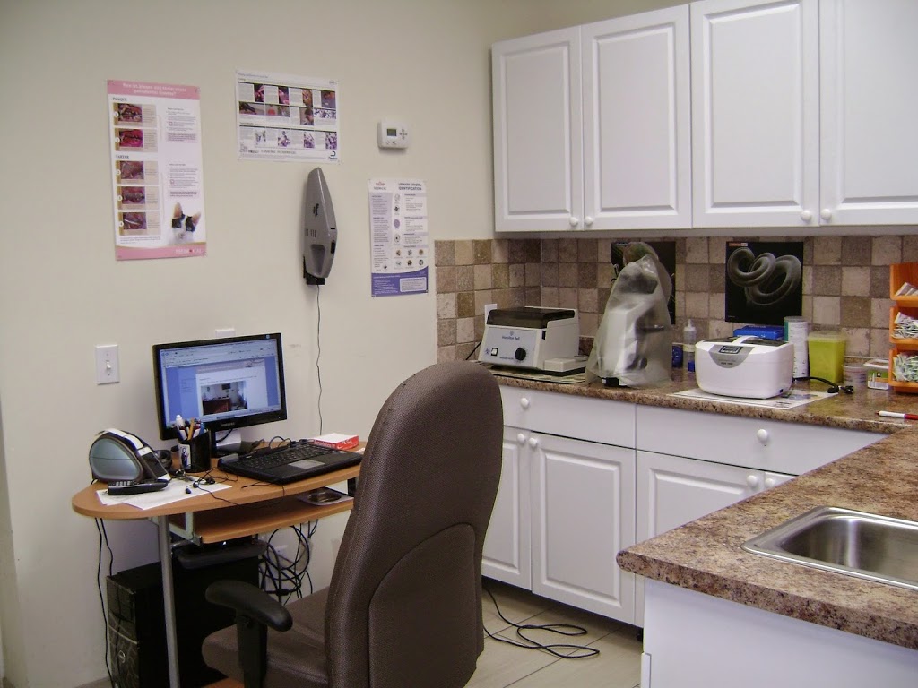 Bayviewwoods Animal Hospital | 1480 Major Mackenzie Dr E c10, Richmond Hill, ON L4S 0A1, Canada | Phone: (905) 237-5844