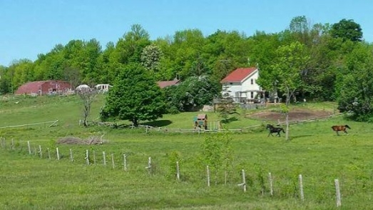 Salloch Family Homestead | 23 Isaac Lake Rd, Wiarton, ON N0H 2T0, Canada | Phone: (519) 239-3262