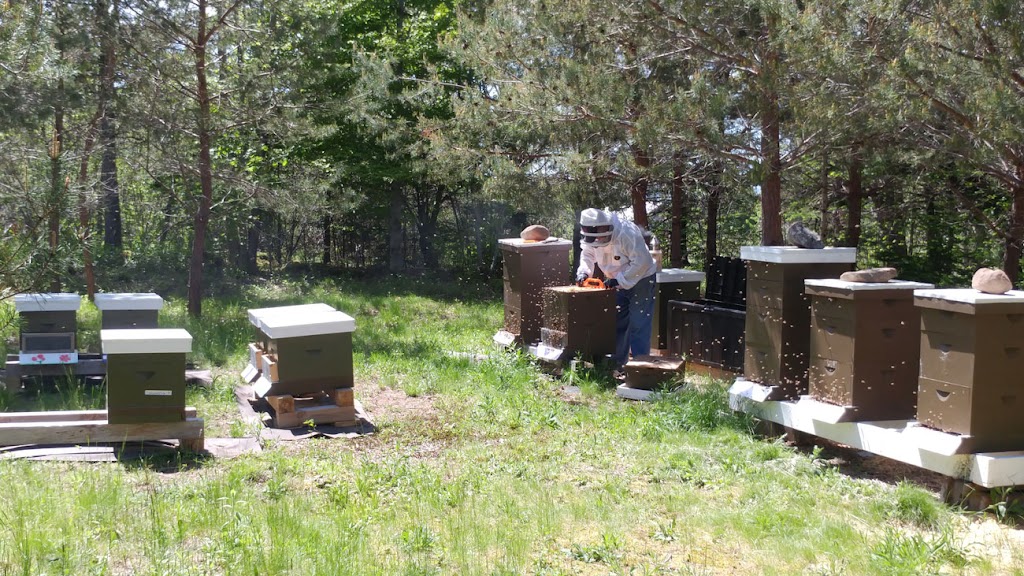 Hazel Grove Farm | 32 Purdy Rd #30, Deep Brook, NS B0S 1J0, Canada | Phone: (902) 482-0543