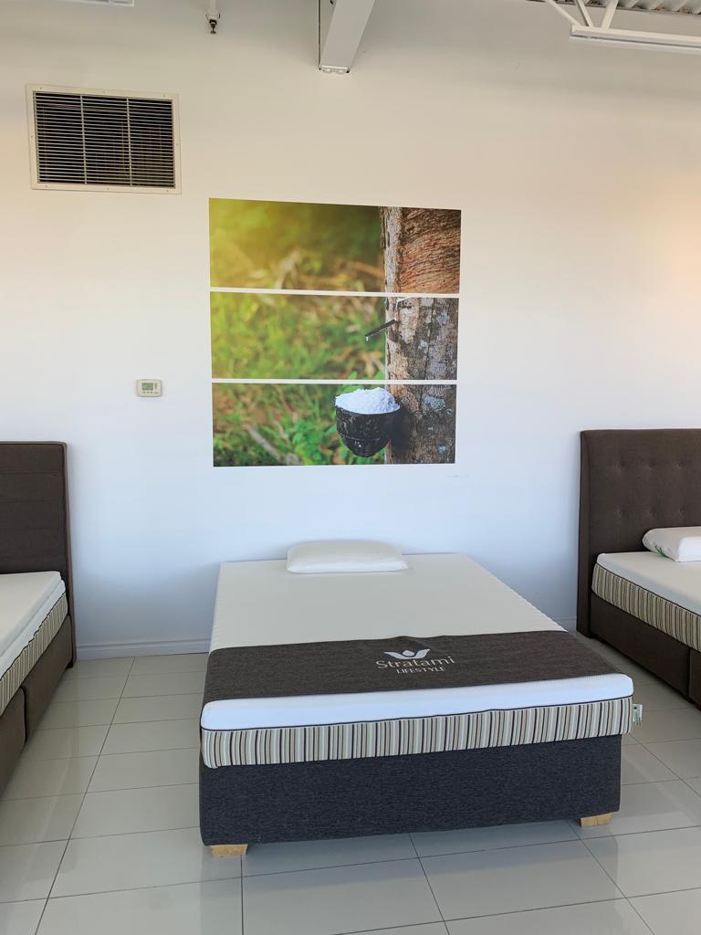 Essentia - Natural Memory Foam Mattress | 2760 Bd Daniel-Johnson, Laval, QC H7P 5Z7, Canada | Phone: (514) 400-0111