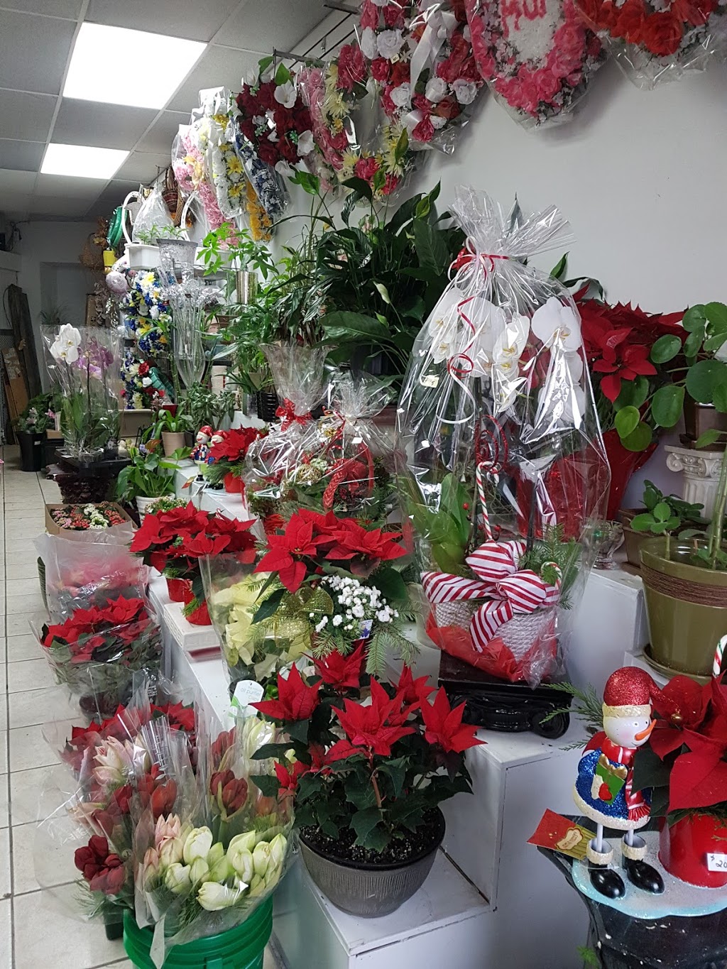 Lucky Star Gift & Flowers | 1648 St Clair Ave W, Toronto, ON M6H 1H8, Canada | Phone: (416) 653-6140