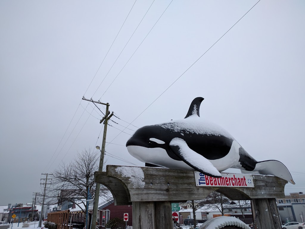 Beatmerchant Record Store | 12240 Second Ave, Richmond, BC V7E 3L8, Canada | Phone: (604) 204-0044