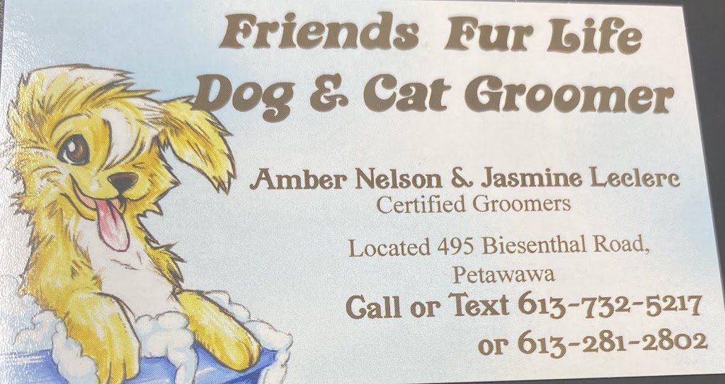 Friends Fur Life Dog & Cat Groomer | 495 Biesenthal Rd, Pembroke, ON K8A 6W7, Canada | Phone: (613) 732-5217