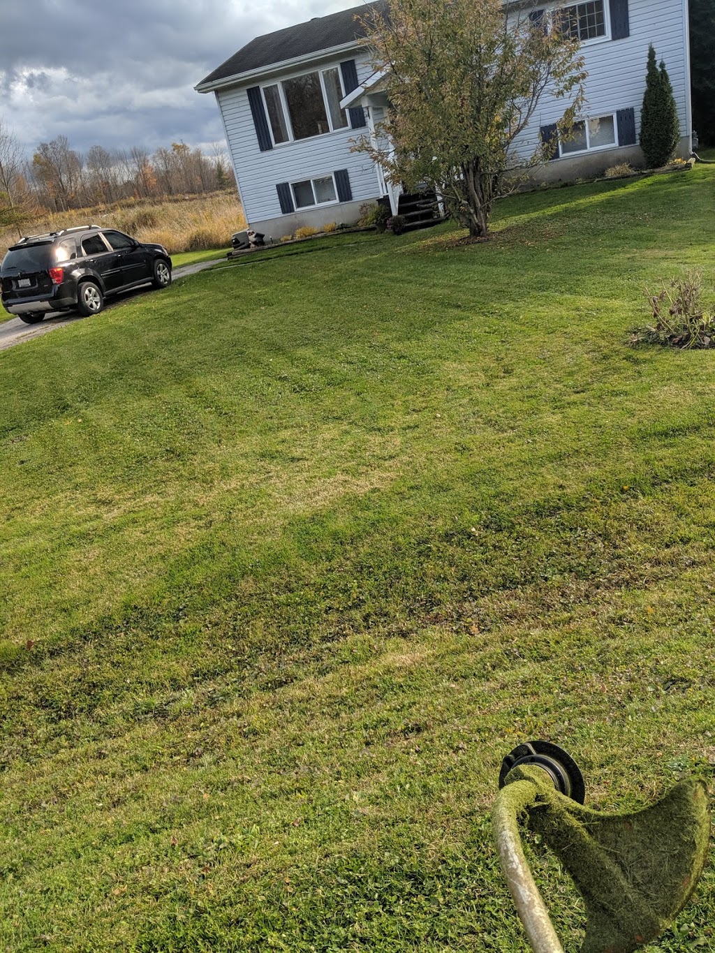 Seymours Lawn Care | Gill St, Coldwater, ON L0K 1E0, Canada | Phone: (705) 718-3426