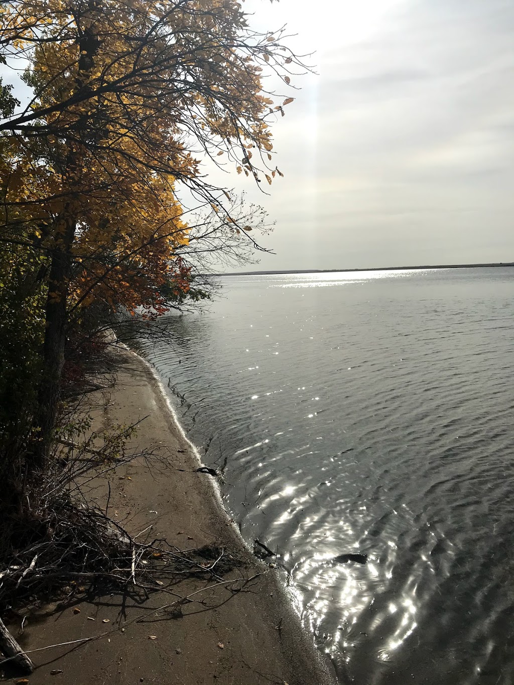 Hitchcocks Hideaway | Lake Diefenbaker, Birsay, SK S0L 0G0, Canada | Phone: (306) 573-4446
