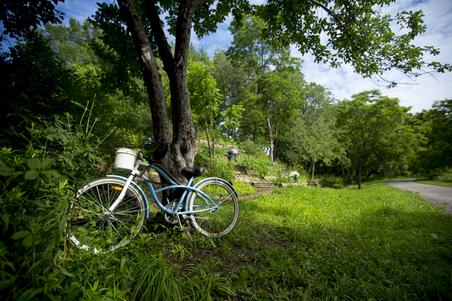 Black Creek Parkland | 1650 Finch Ave W, North York, ON M3N 2S3, Canada | Phone: (416) 338-4386