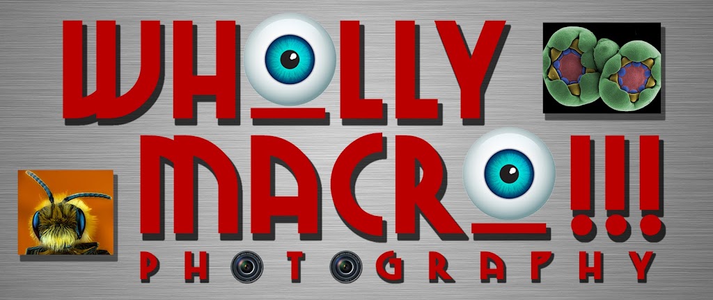 Wholly Macro Photography | 2 Jude St, Victoria, PE C0A 2G0, Canada | Phone: (902) 678-4772