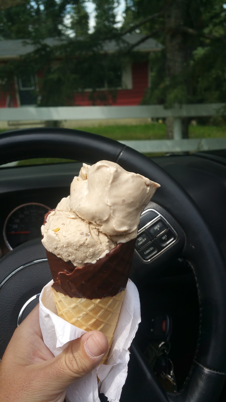 Scoops & Snacks | 44 White Ave, Bragg Creek, AB T0L 0K0, Canada | Phone: (403) 949-3494
