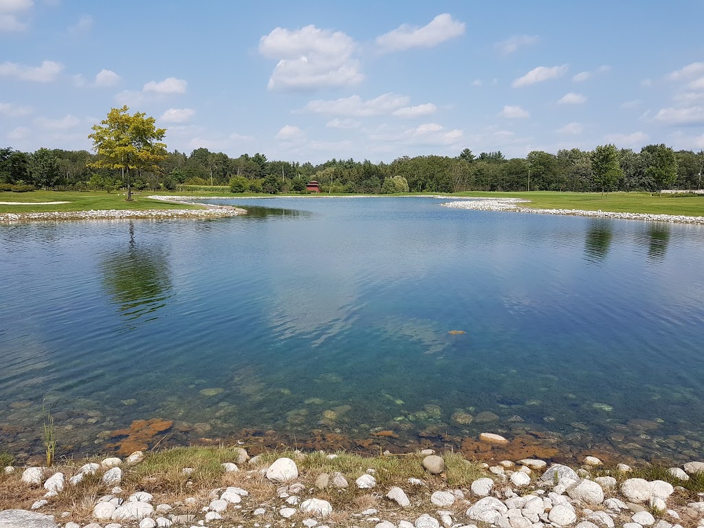 Innerkip Highlands Golf Club | 805940 Oxford Road 29, Innerkip, ON N0J 1M0, Canada | Phone: (800) 265-3924